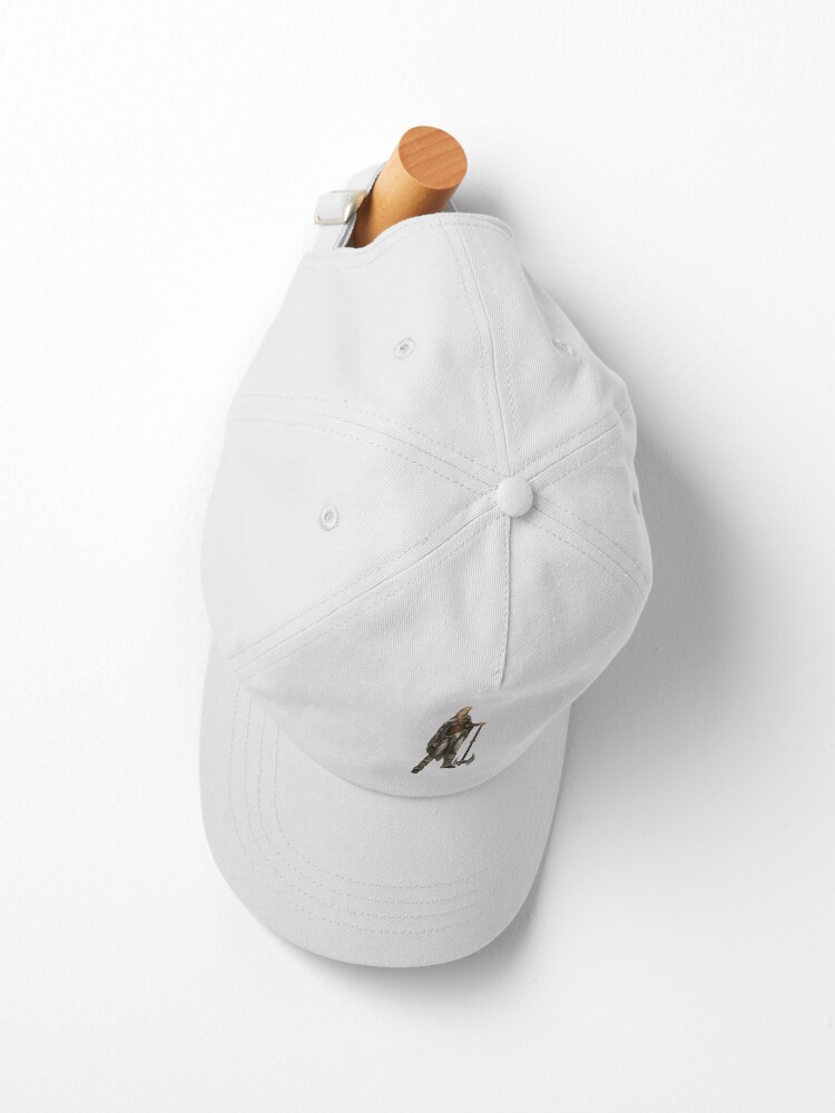 Diablo 4 Cap Official Diablo Merch